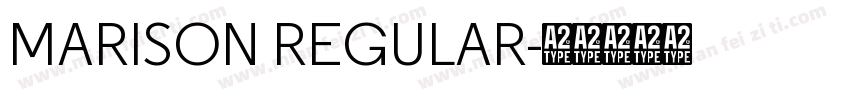 MARISON REGULAR字体转换